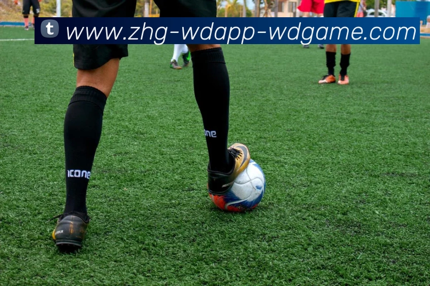 App Interface Preview