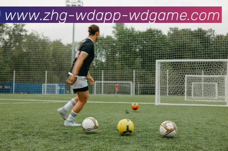 问鼎娱乐APP 封面图